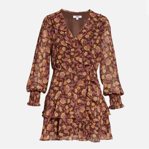 BB Dakota Steve Madden Paisley Be Nice Long Sleeve Chiffon Mini Dress XS - Picture 1 of 12